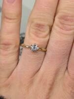 Rytmečio žvaigždė – Paveikslėlis 4