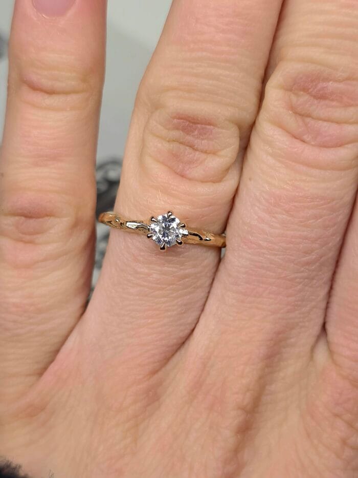 Rytmečio žvaigždė – Paveikslėlis 4