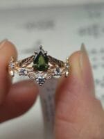 Miško karūna ll – Paveikslėlis 2