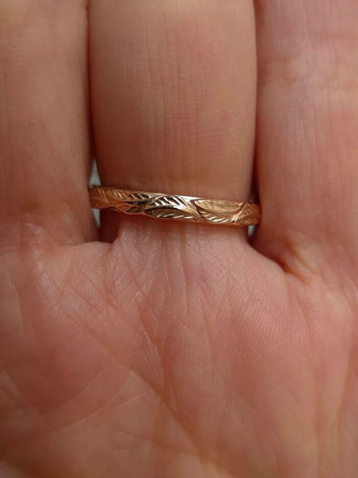 Žvaigždžių takas – Paveikslėlis 3