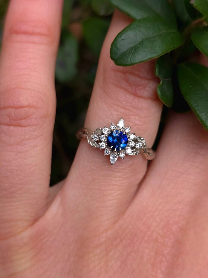 Speigas – Paveikslėlis 1