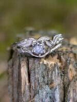 Paukščio sapnas – Paveikslėlis 3