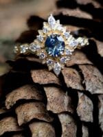 Mėlyna žvaigždė – Paveikslėlis 5