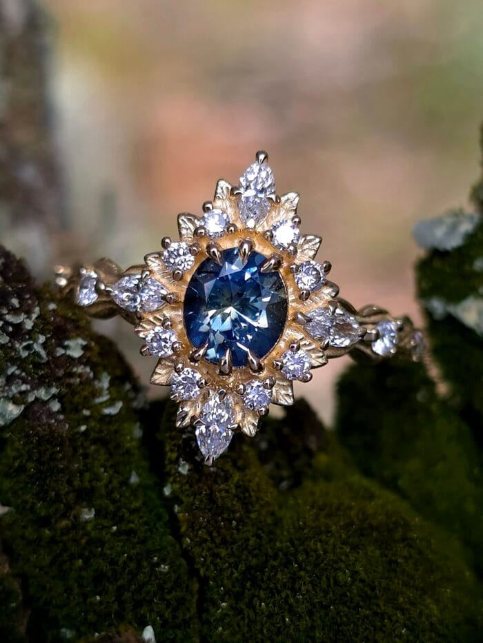 Mėlyna žvaigždė – Paveikslėlis 1