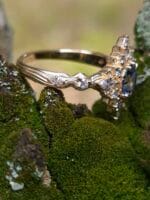 Mėlyna žvaigždė – Paveikslėlis 2