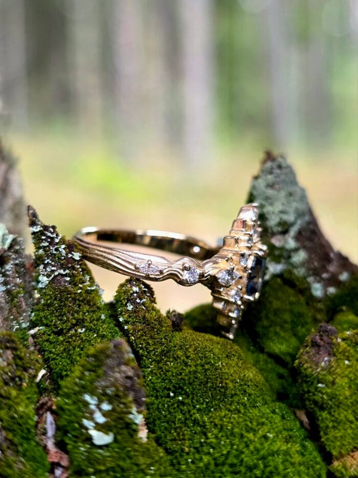 Mėlyna žvaigždė – Paveikslėlis 3