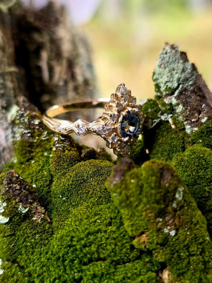 Mėlyna žvaigždė – Paveikslėlis 6