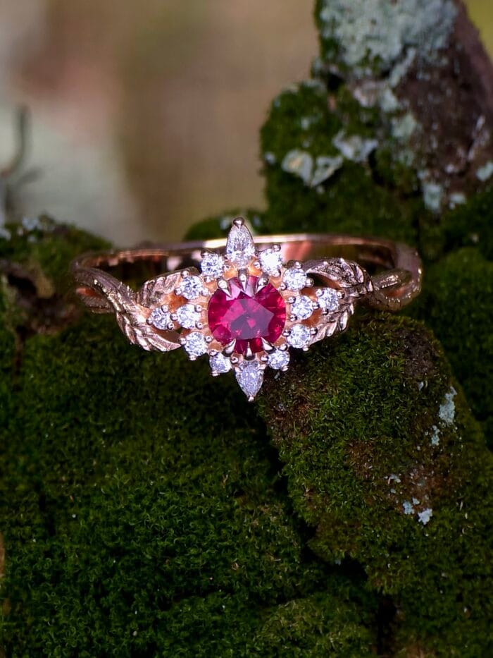 Žara – Paveikslėlis 1