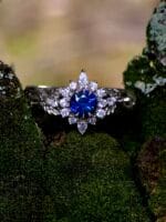 Speigas – Paveikslėlis 3