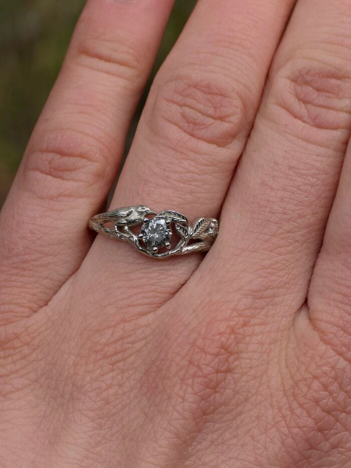 Paukščio sapnas – Paveikslėlis 2