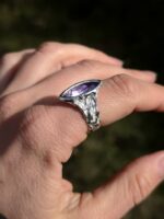 Raganos akis – Paveikslėlis 2