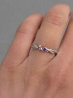 Astrėja – Paveikslėlis 2